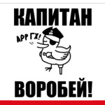  'Капитан воробей!'