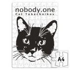 Cat Tabachnikov