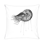 Nautilus