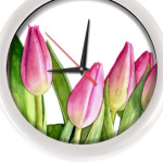 'Весенние тюльпаны'