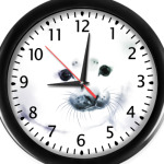 Малыш тюлень