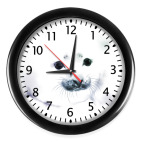 Малыш тюлень