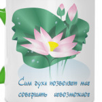 Цветущий лотос. Сила духа.