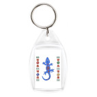 ящерица из Африки