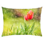 запах весны