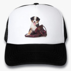 Кепки Trucker