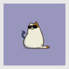 Пятничный Котик №11