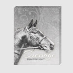 Конный спорт, лошади. Dressage