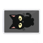 Черный Котик