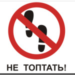 Не топтать