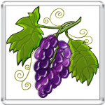  Black Grapes