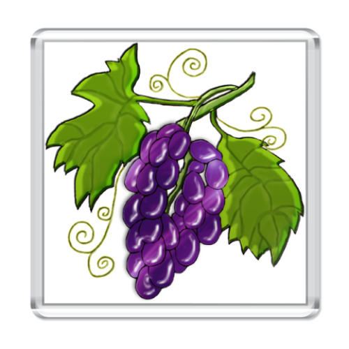 Магнит  Black Grapes