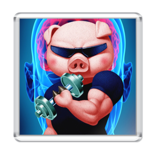 Магнит IRON PIG