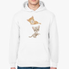 Толстовка худи