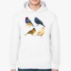 Толстовка худи