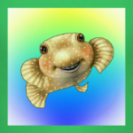 Рыбка-шар Бусик