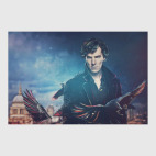 Вороны Лондона