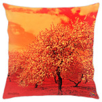 Яблоневый сад - огонь