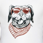 Бандито гангстерито