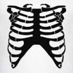 Скелет человека