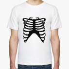 Скелет человека