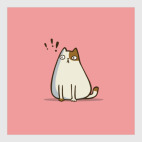 Пятничный Котик №6