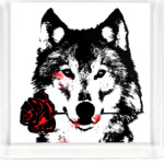 Волк и Роза