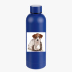 Термобутылка