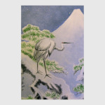 Возле вершины