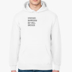 Толстовка худи