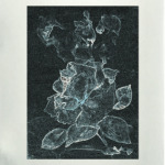 Зимняя рапсодия