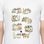 Коты любовные