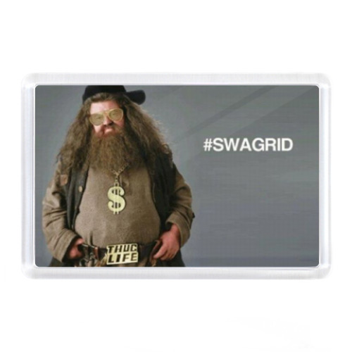 Магнит SWAGRID