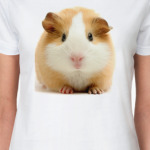 Морская свинка