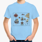 Пиратская карта