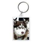 Брелок 5.7 x 4.1 см Хаски
