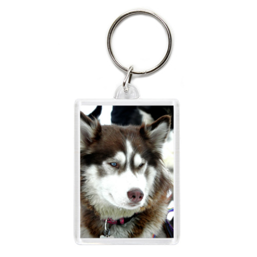 Брелок Хаски