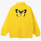 Ветровка с капюшоном