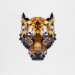 Тигр / Tiger