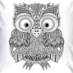 Лупоглазая совушка