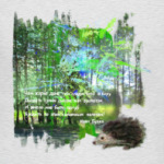 Ежик. Мимими. Дорога. Деревья. Роща. Небо.