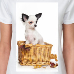 Щенки и собаки