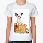 Щенки и собаки