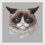 Grumpy Cat / Сердитый Кот
