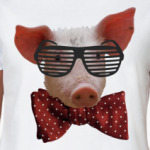 Свинья в очках и бабочке