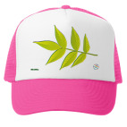 Многослойная ветвь