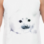 Малыш тюлень