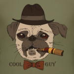 Cool Guy