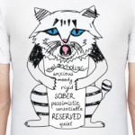 Английский Кот Меланхолик