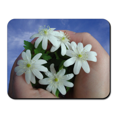 Коврик для мыши  Подснежники